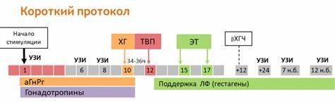 Диета при эко отзывы Белковая Диета При Стимуляции Овуляции Эко — Похудение Диета Правильное Белковая Диета При Стимуляции Овуляции Эко — Похудение Диета Правильное Диета при эко отзывы