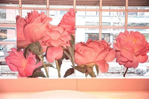 Mansurgavriel Soho Location Wooster Street New York Ny Soho Pop Up New York