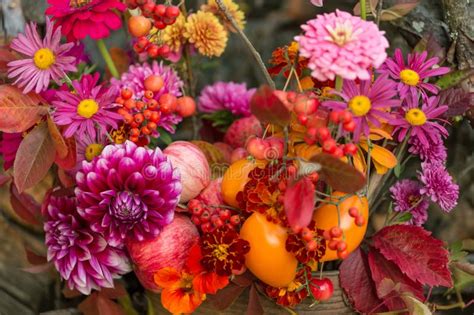 Beautiful Autumn Bouquet With Fall Flowers And Colorful Leaves Stock