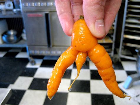 103 Oddly Shaped Fruits And Vegetables That Will Make You Look Twice