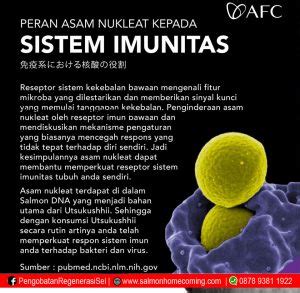 Zinc adalah satu jenis mineral yang berperan untuk menjaga daya tahan tubuh dan mencegah berbagai penyakit. vitamin-untuk-daya-tahan-tubuh-covid | Salmon Ovary ...