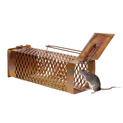 CRUEL-FREE WAYS TO KEEP THE RATS AWAY