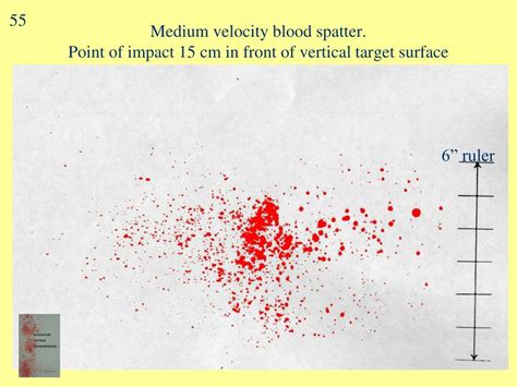 PPT - Blood Spatter & Crime Scenes PowerPoint Presentation, free