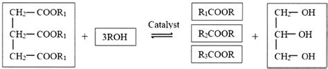 Biodiesel is a type of renewable fuel and a potential alternative for continuously consumed fossil resources. Transesterification process for biodiesel production from ...