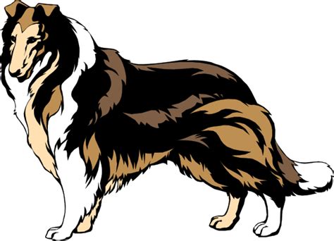 Collie Clip Art 20 Free Cliparts Download Images On Clipground 2023
