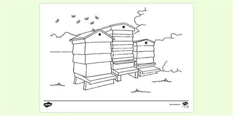 Bee And Beehive Coloring Pages