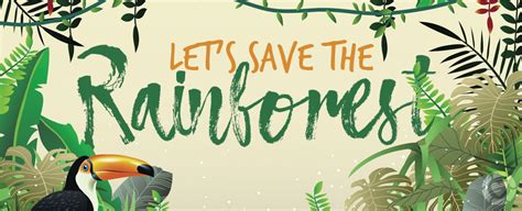 Save Our Rainforest Posters