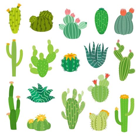 Premium Vector Mexican Cactus And Aloe Desert Spiny Plant Mexico