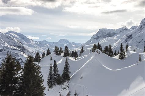 Beautiful Alps Mountain Lanscape Fir Trees And Rocks Under Snow Stock