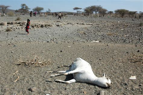 Ethiopia Tanzania Threatens To Deport Migrants From Drought Hit Ethiopia