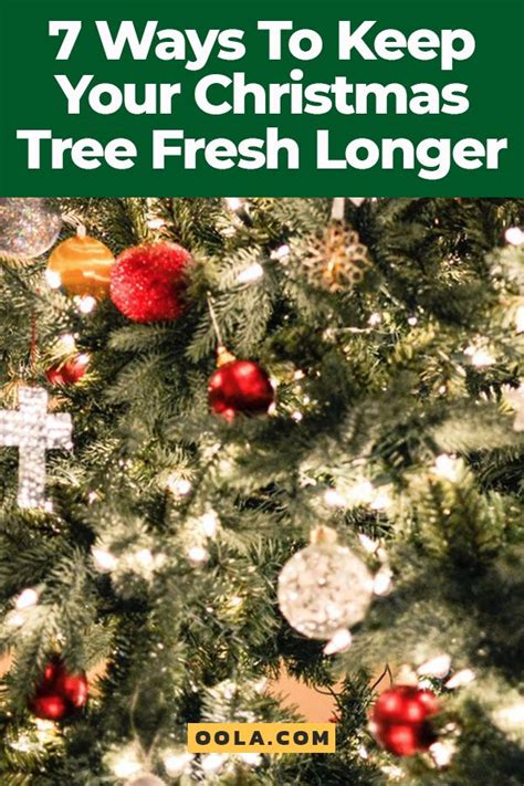 7 Ways To Keep Your Christmas Tree Fresh For As Long As Possible Christmas Tree Christmas