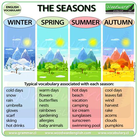 Seasons Chart For Kids