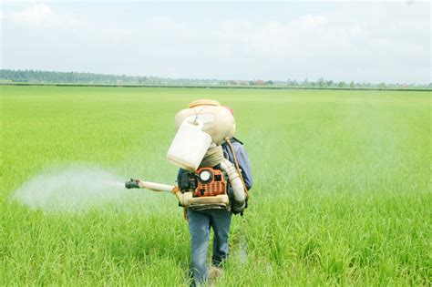 New Rules To Protect Farm Workers From Pesticide Poisoning