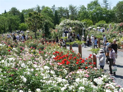 あきたかた navi レオピン祭 開園30周年 湧永満之記念庭園