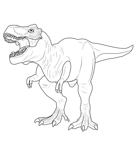 Disegni Da Colorare Tirannosauro Rex Dinosauro Disegni Da Colorare