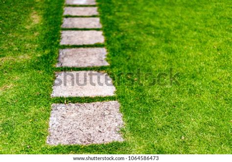 Rectangular Concrete Stepping Stones Positioned Line Stock Photo Edit