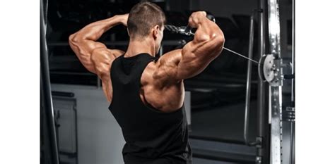 5 Rear Delt Exercises For Strong And Durable Shoulders