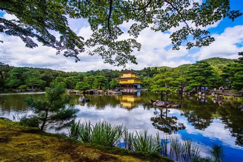 We did not find results for: Japanese Garden jigsaw puzzle in Great Sightings puzzles ...