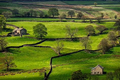 Wensleydale Farm Painted With Light And Shade Yorkshire