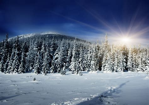 Winter Forest Sun Rays Snow Hill Shadow Hd Wallpaper