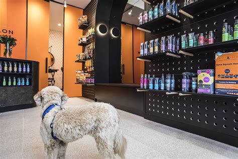 The Fur Salon By Rufus And Coco A New Luxury Pet Salon Opens In Mosman