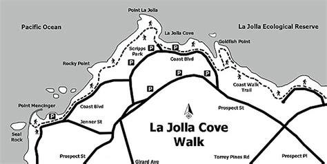 Best To Wake Up Early For This La Jolla Cove Walk San Diego Reader