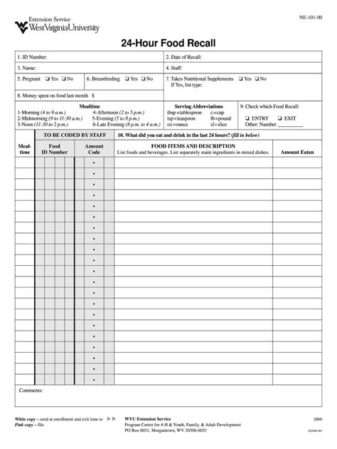 24 Hour Recall Template 2000 2024 Form Fill Out And Sign Printable
