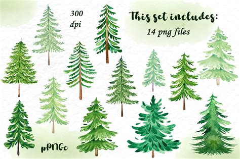 Watercolor Pine Trees Clipart Christmas Tree Clipart By