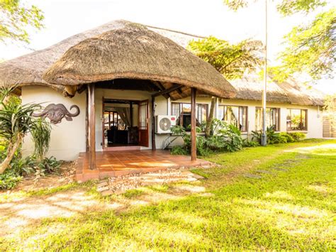 Nyathi Lodge Book Your Dream Self Catering Or Bed And Breakfast Now