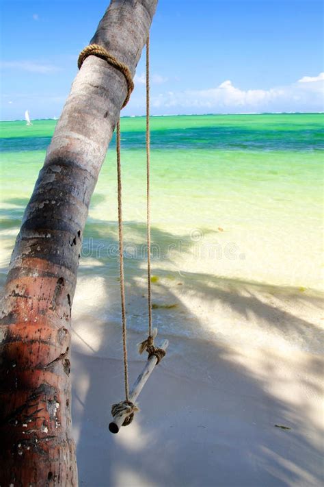 Palm On Calm Caribbean Beach Stock Photo Image Of Lounge Beach 14133894