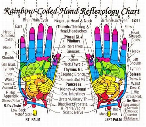 My own thoughts: Acupressure (Reflexology) Charts Collection