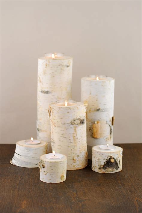 8 Natural Birch Tree Branch Candle Holders