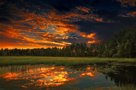 Nature Landscape Trees River Clouds Photography Grass Sunset
