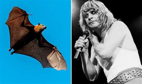 Ozzy Osbourne On How He Ended Up Biting Off A Bats Head ‘it Was A