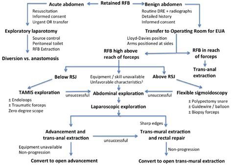 A Management Algorithm For Retained Rectal Foreign Bodies Shamir O