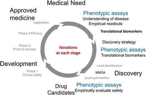 Frontiers The Value Of Translational Biomarkers To Phenotypic Assays