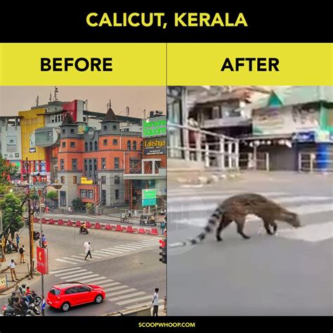 How 44 students managed to reach kerala after quarantine in delhi amidst lockdown former chief minister oommen chandy and a sampath, a special representative at the kerala house in delhi, helped. These 12 Posters Show Places From Around The World Before ...