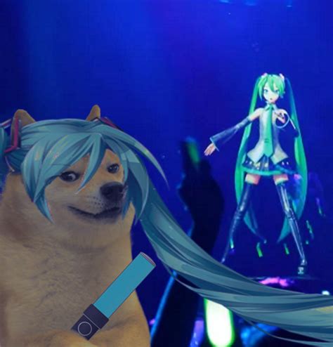 Omg Doge Made It To The Hatsune Miku Concert Oo Rdogelore
