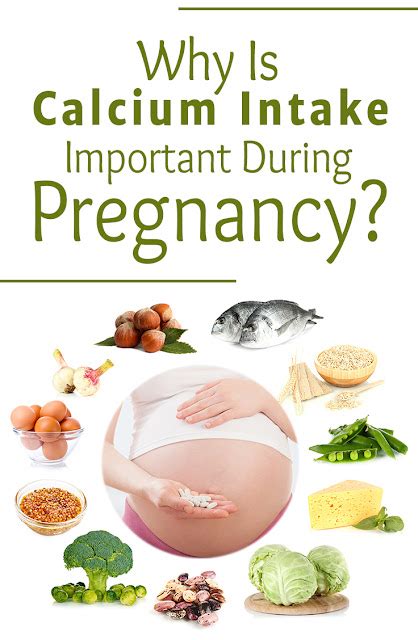 calcium during pregnancy calcium rich foods for pregnancy test blog