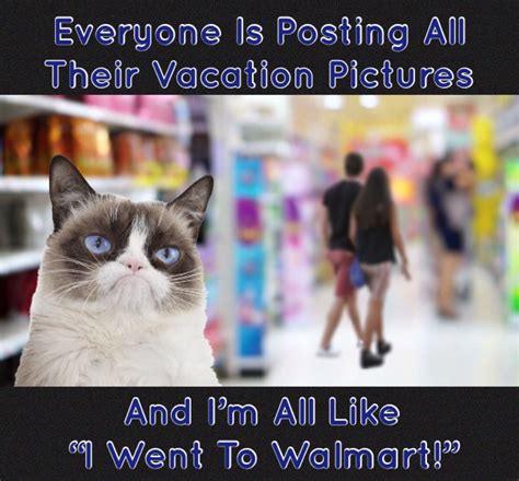 Everyone Is Posting All Their Vacation Pictures And Grumpy Cat Went To