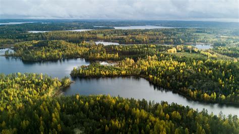 Viaggio Sul Lago Saimaa Nella Finlandia Più Pura Tra Sauna Bagni Nei