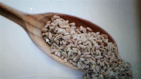 Каша полба при диете Каша полба на кефире - 93 фото Каша полба на кефире - 93 фото Каша полба при диете