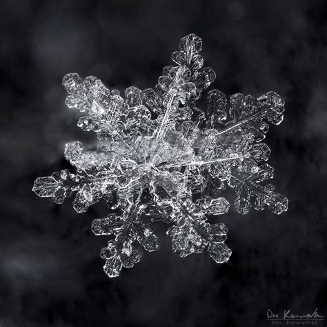 Pin by Anne Bingham on Snowflakes | Snowflake photography, Snowflakes real, Snowflake pictures