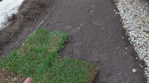 How To Lay Down Grass Sod Mastermind Handyman