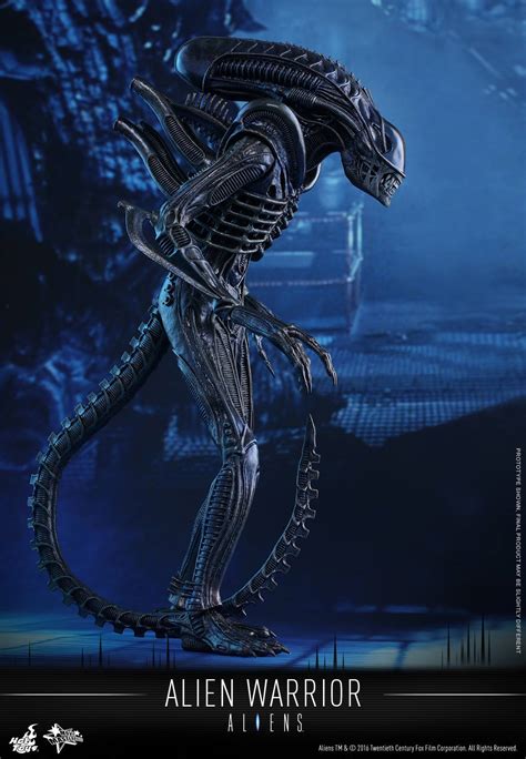 Aliens Alien Warrior 16 Scale Figure By Hot Toys The Toyark News