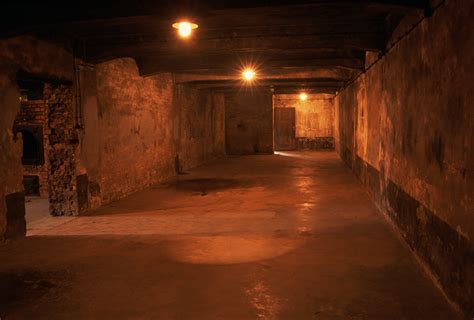 Gas Chamber At Auschwitz Holocaust Concentration Camps Pictures The