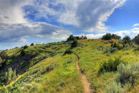 Hiking Path At Theodore Roosevelt National Park North Dakota Image