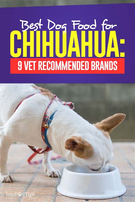 Dental chew toys are also essential. Best Dog Food for Chihuahua: 9 Vet Recommended Brands