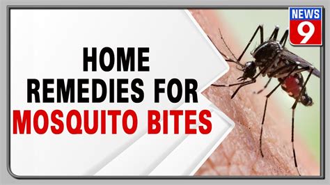 Treat Mosquito Bites The Natural Way Youtube