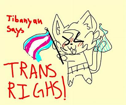 Furry Transgender Drawception Trans